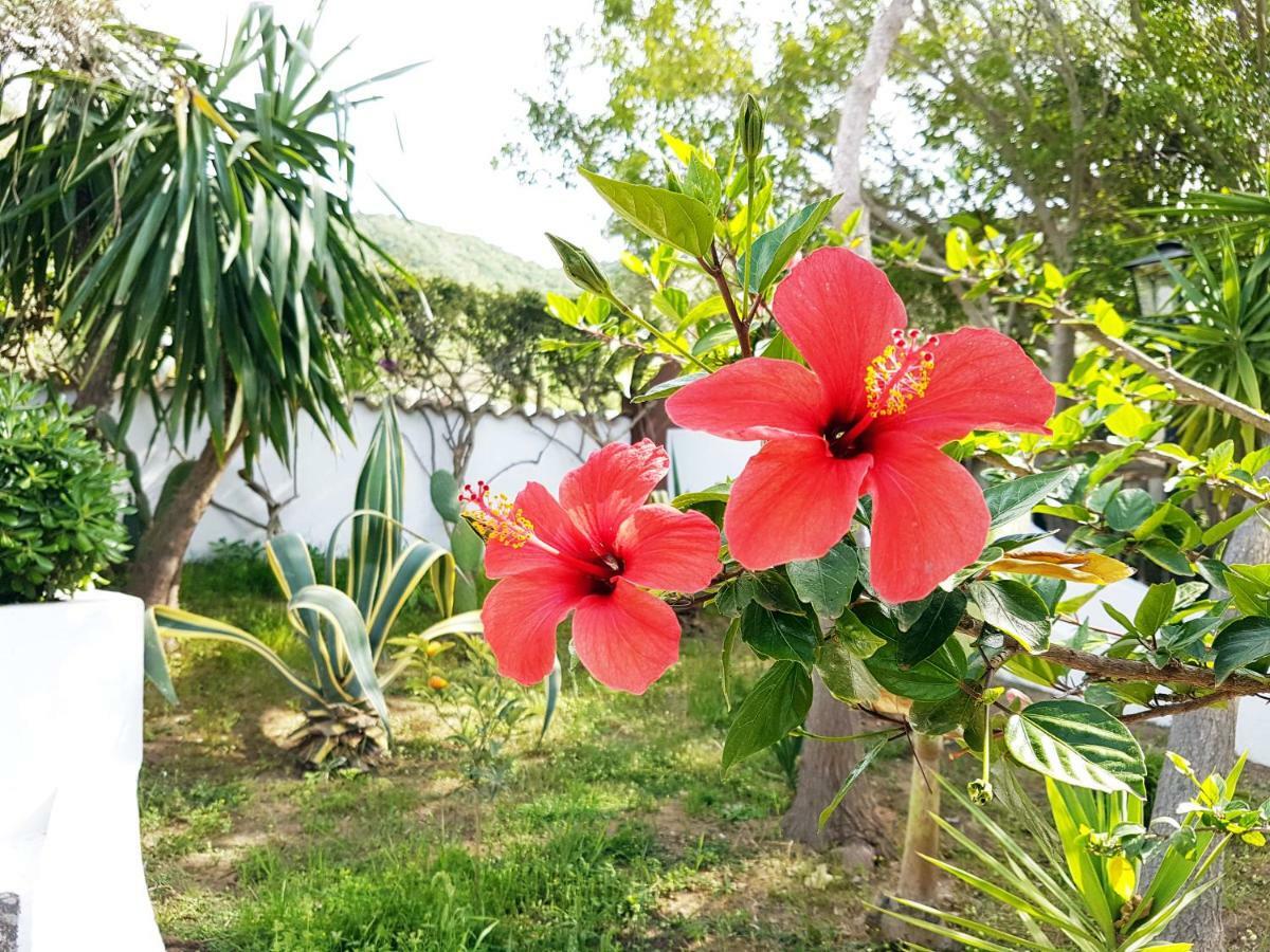 Villa Del Sogno Parghelia Εξωτερικό φωτογραφία