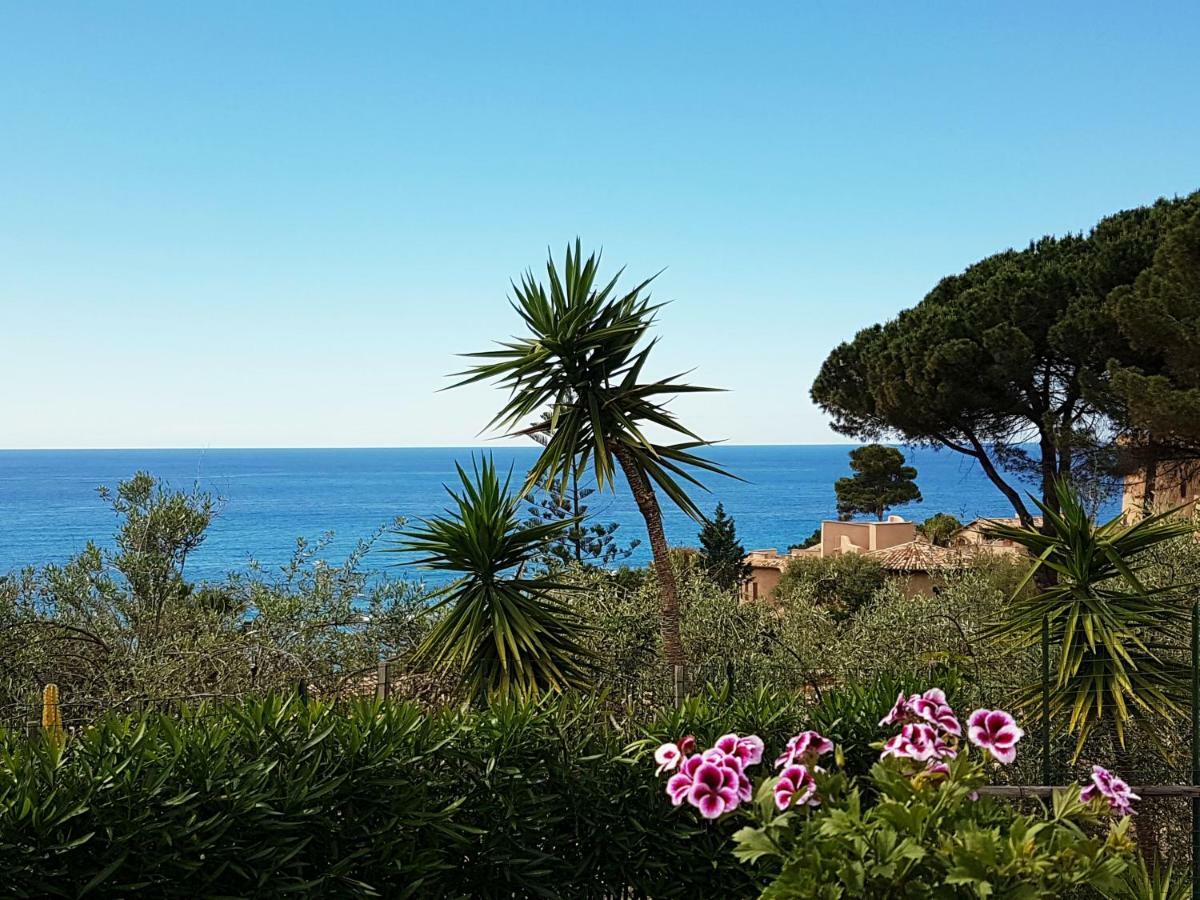 Villa Del Sogno Parghelia Εξωτερικό φωτογραφία