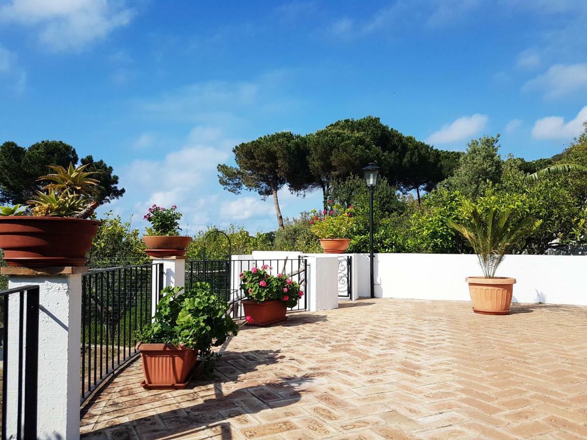Villa Del Sogno Parghelia Εξωτερικό φωτογραφία