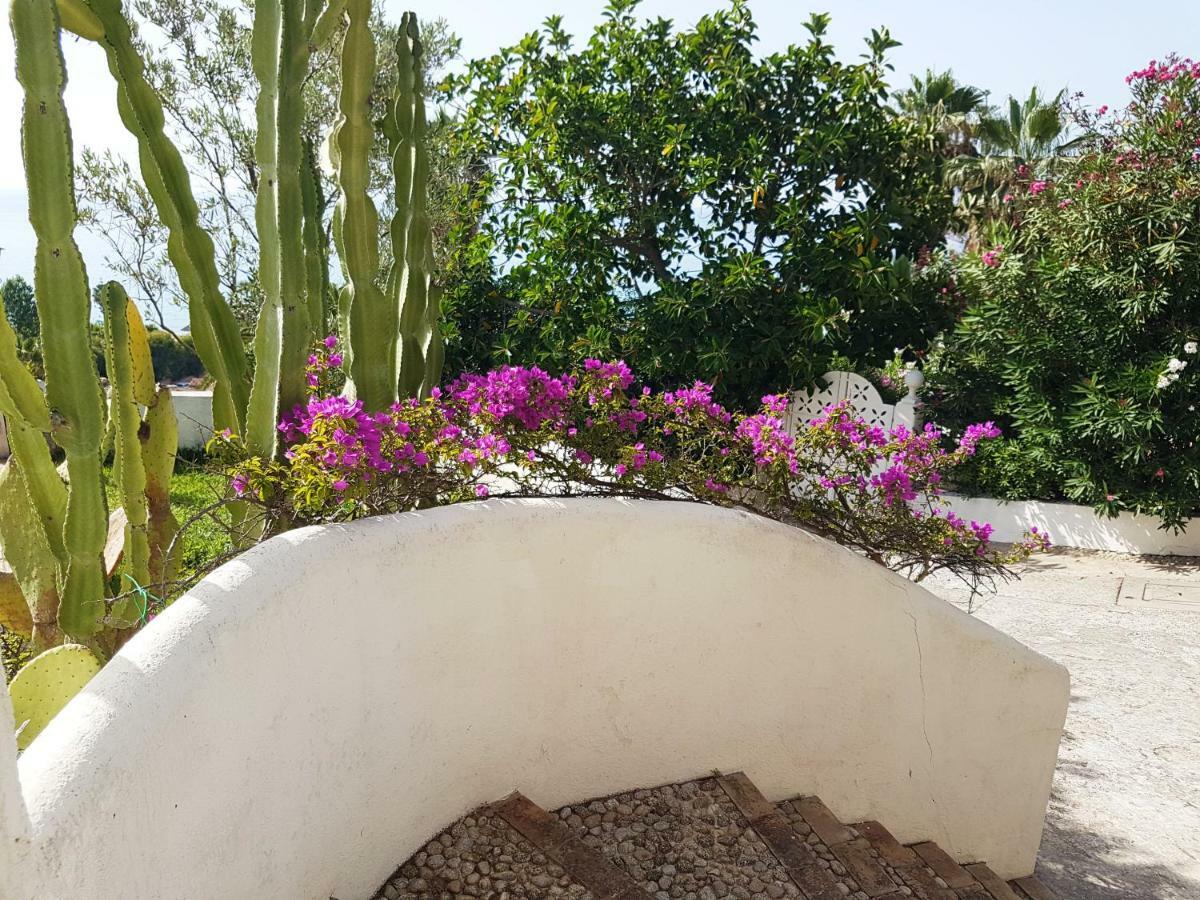 Villa Del Sogno Parghelia Εξωτερικό φωτογραφία